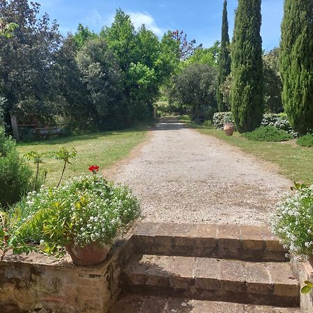 Podere Cerreto Casole dʼElsa Dış mekan fotoğraf