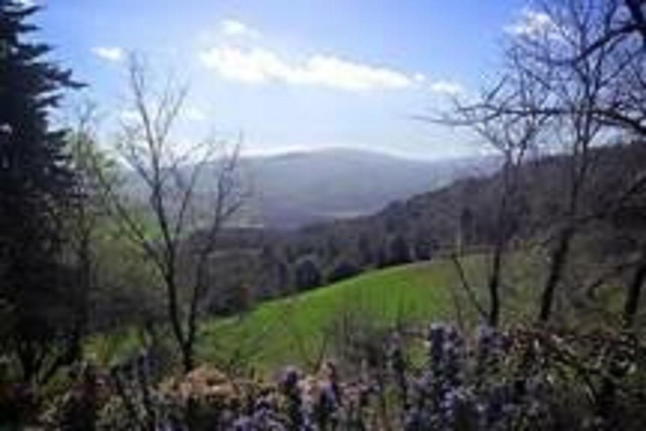 Podere Cerreto Casole dʼElsa Dış mekan fotoğraf